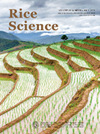 Rice Science雜志封面
